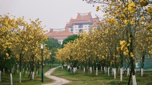 思“嘉園”，頌“嘉”景，憶“嘉”人，懷“嘉”事